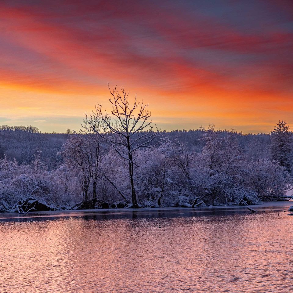 Schnee – Foto von Kantndriver