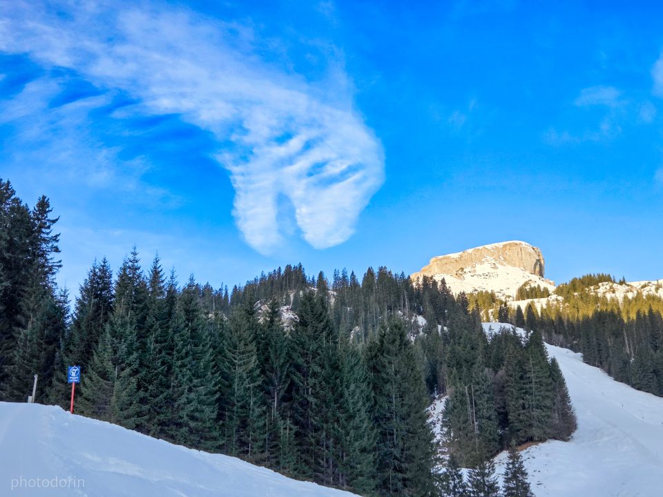 Humilis – Foto von photodorin