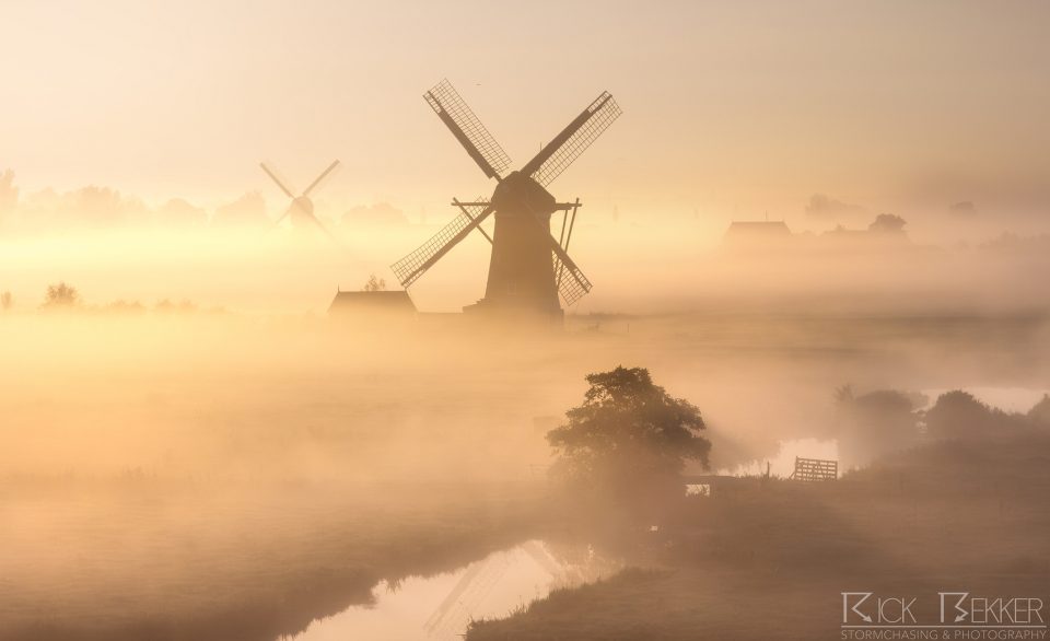 Foggy windmills