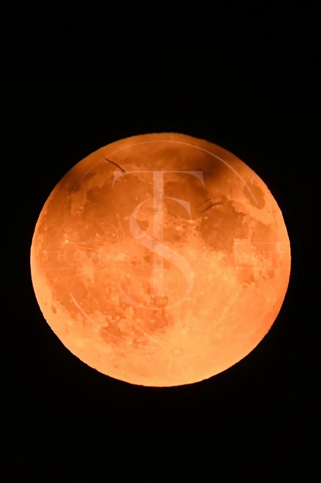 Vollmond