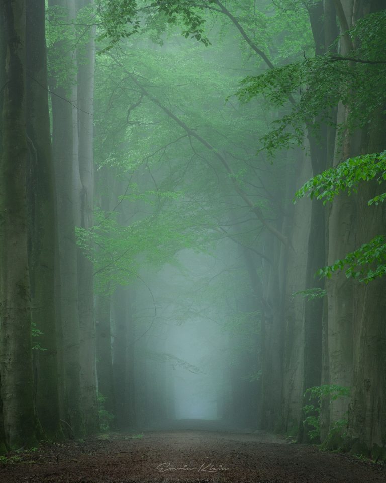 Dense Fog