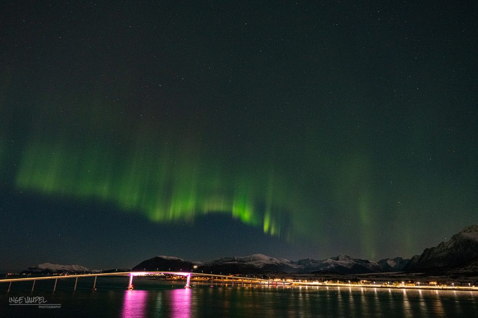 Polarlicht über der Brücke von Sortland