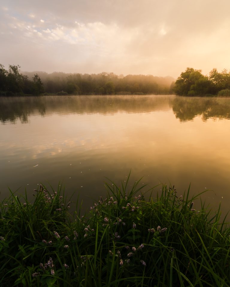 Goldener Morgen am See