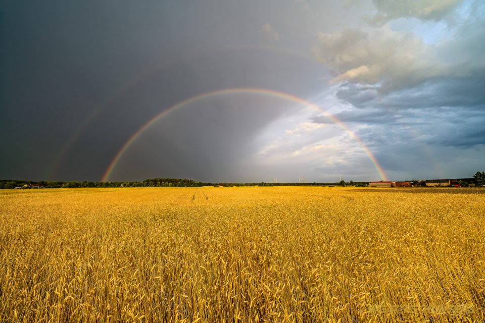 Regenbogen