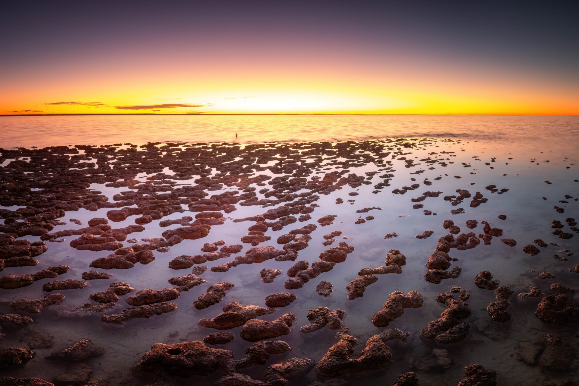 Stromatolithen – Foto von Christoph Schaarschmidt