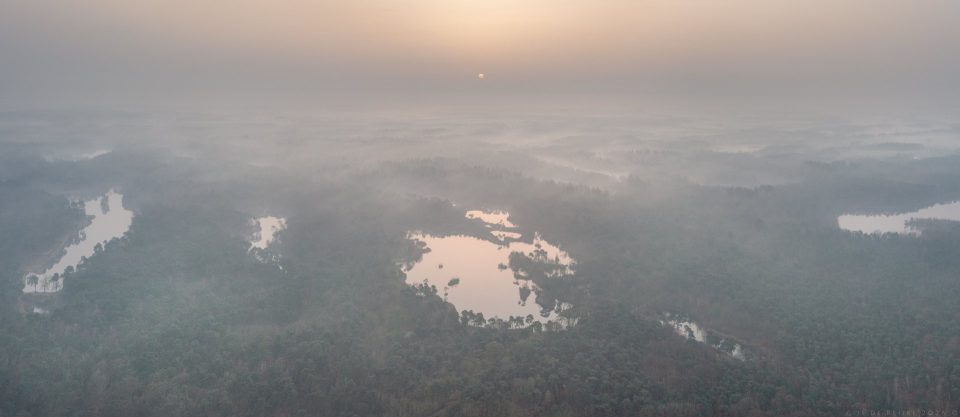 Saharan Dust, Dutch Fog