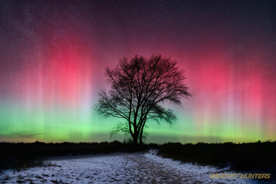Polarlicht hinter dem Baum in verschneiter Landschaft