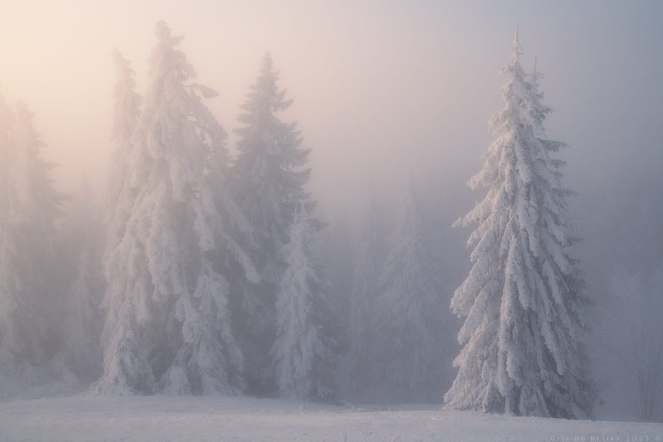 A Warm Touch To A Cold Morning