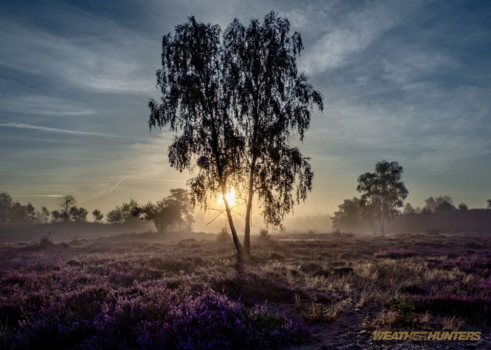 Himmelsblau – Foto von GGeltinger