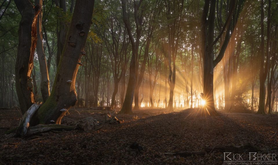 Speulderbos Magic