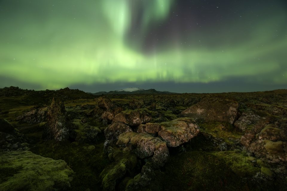 Lady Aurora