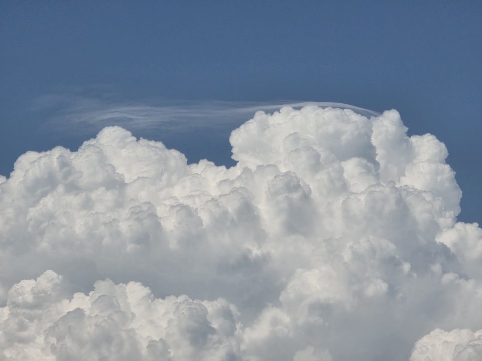 19.06.2026 Pileus auf dem CB