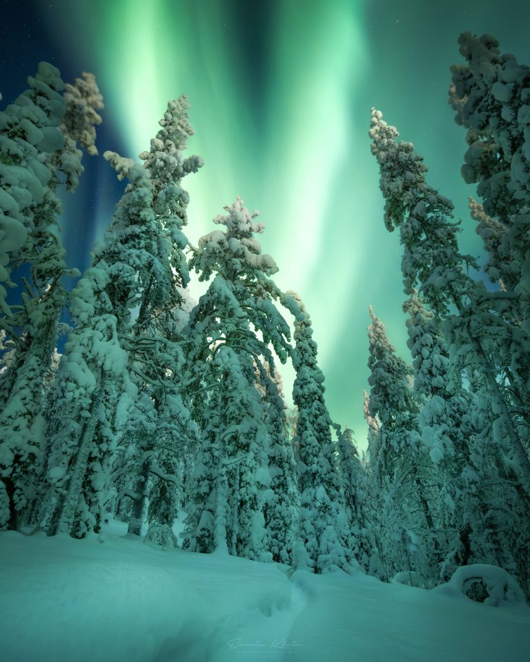Green Sky