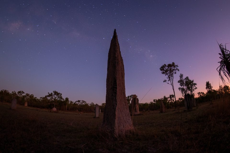 Astronomische Dämmerung im Litchfield Nationalpark