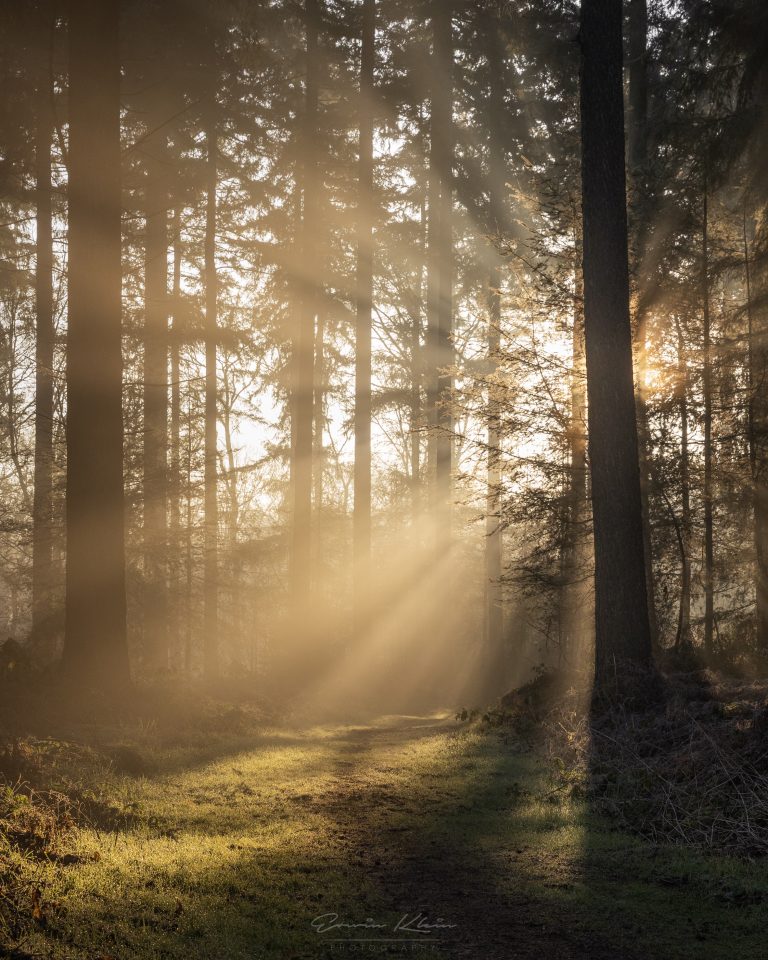 Crepuscular Rays
