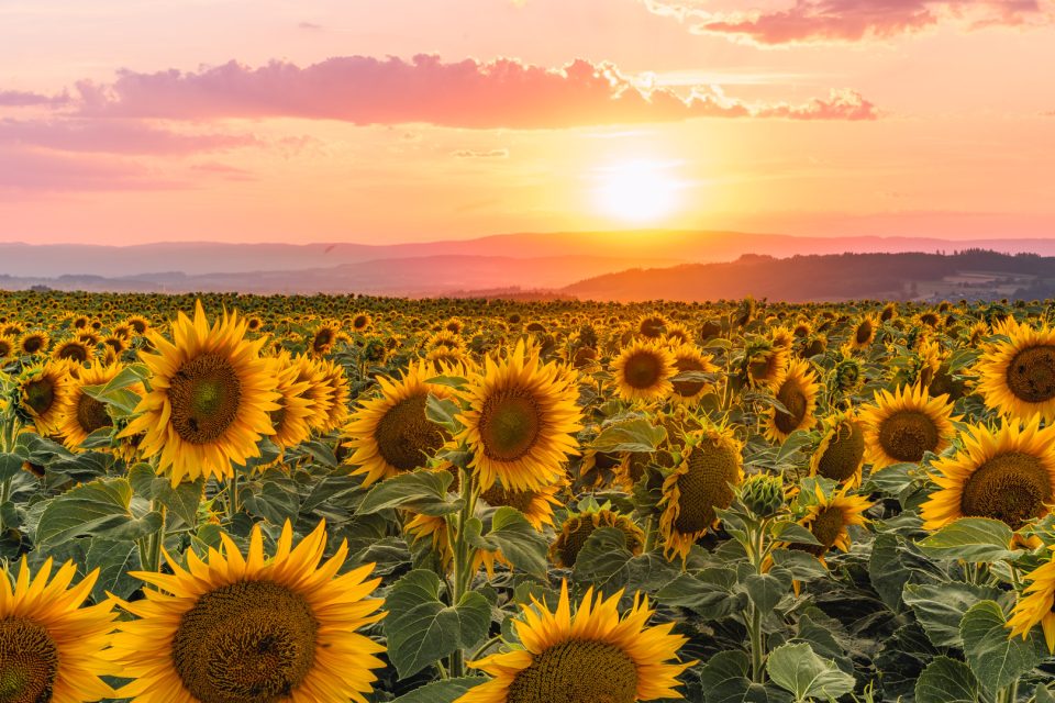Sonnenuntergang