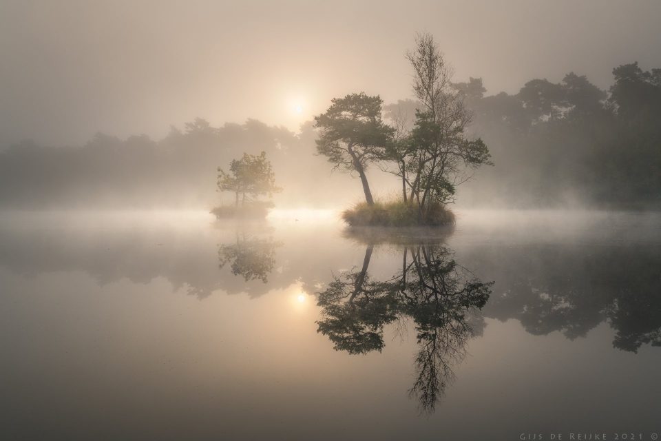 Serenity