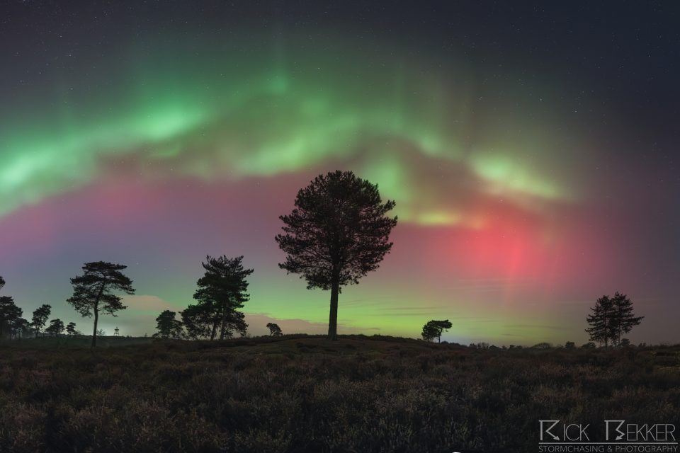 19-01-2026 Aurora