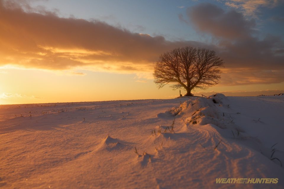 Friedenseiche Hombressen im Winter