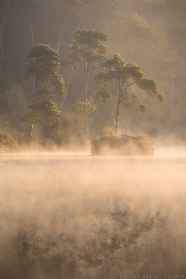 Nebel – Foto von Gijs de Reijke