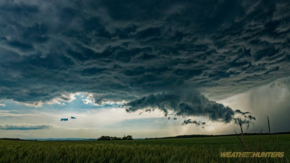Wallcloud