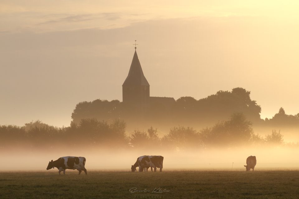 The Church