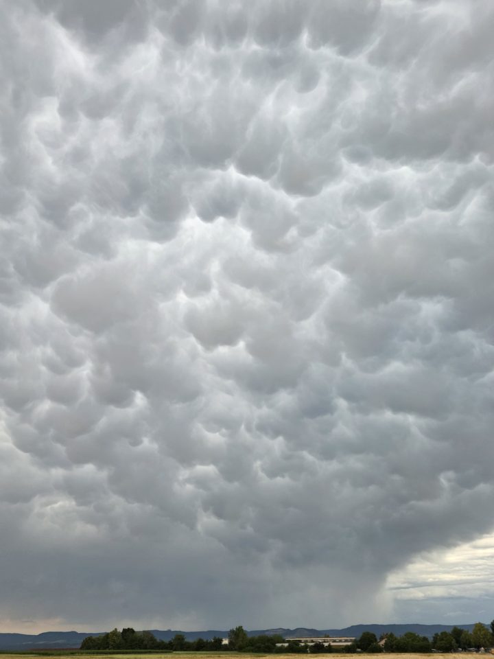 19.06.2026 Mammatuswolken