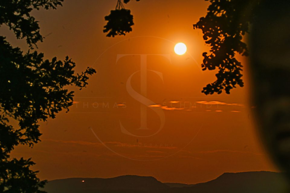 Mond