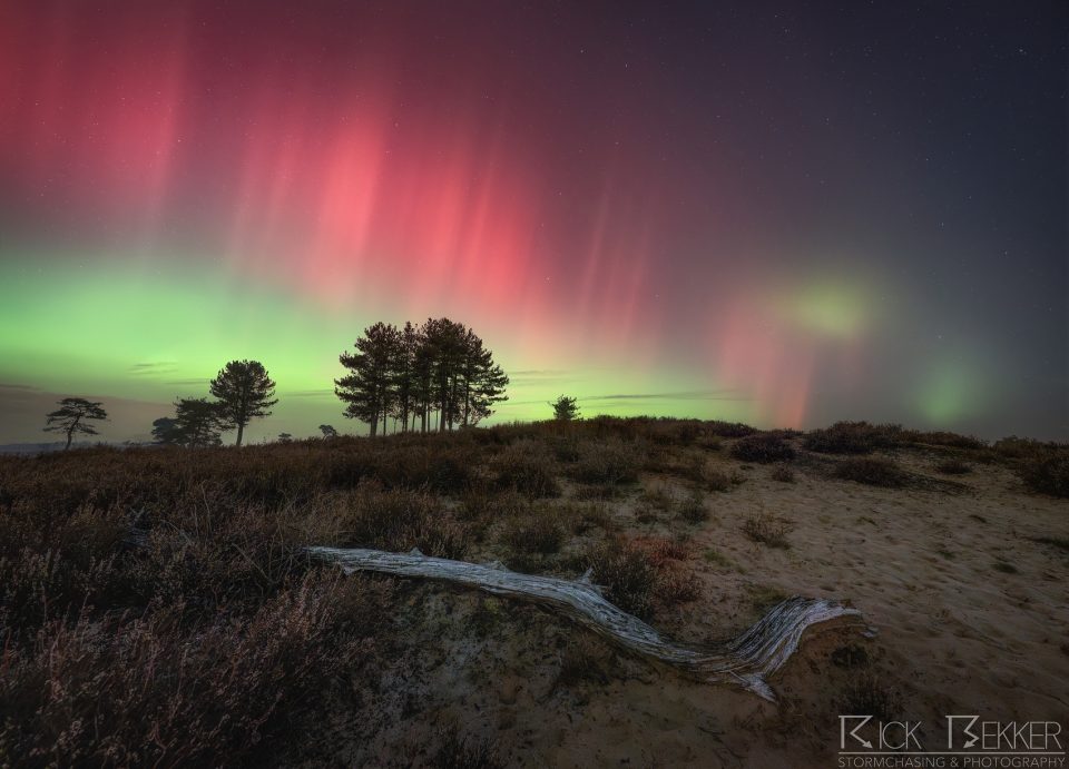 19-01-2026 Aurora