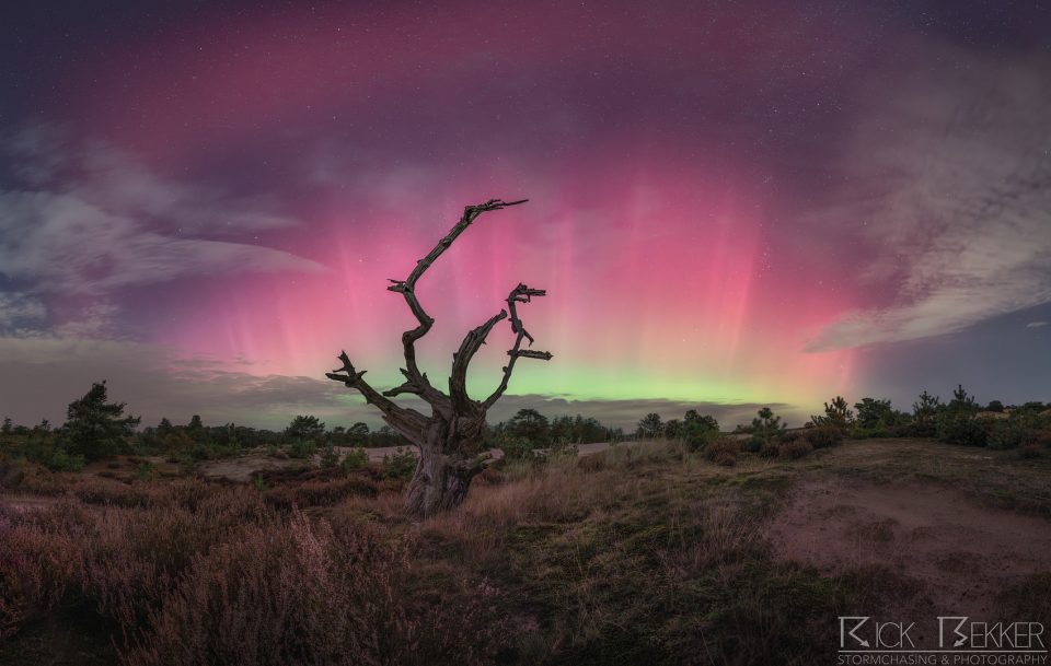 Aurora 10-10-2024
