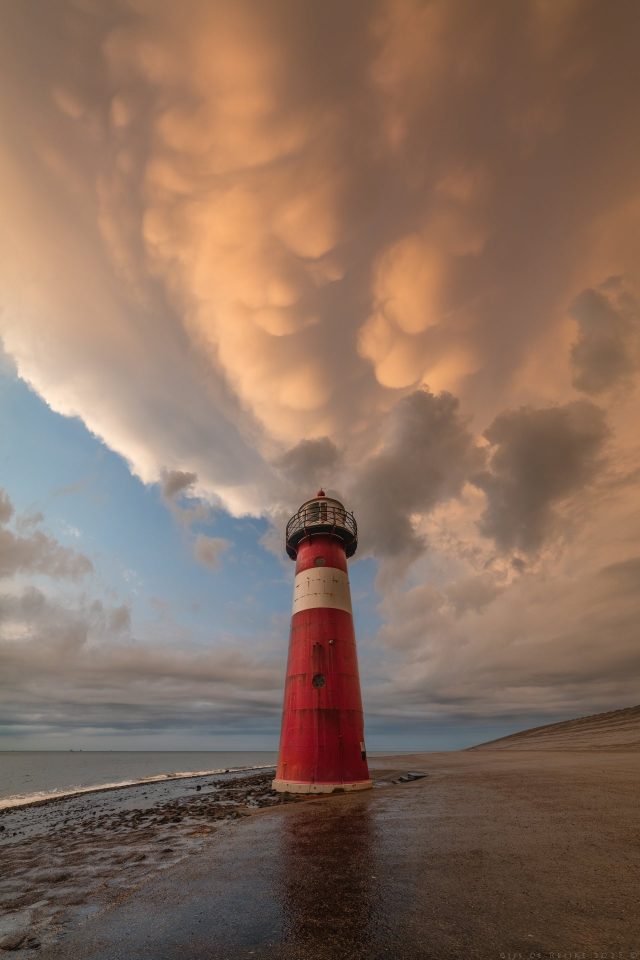 Sunset Mammatus