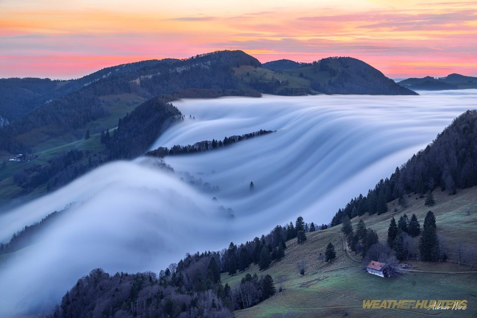 Nebelwelle