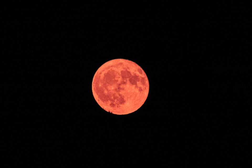 Erdbeermond am Tegernsee