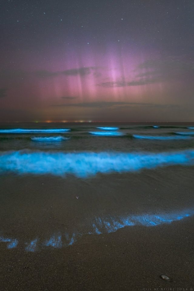 Nocturnal Colours