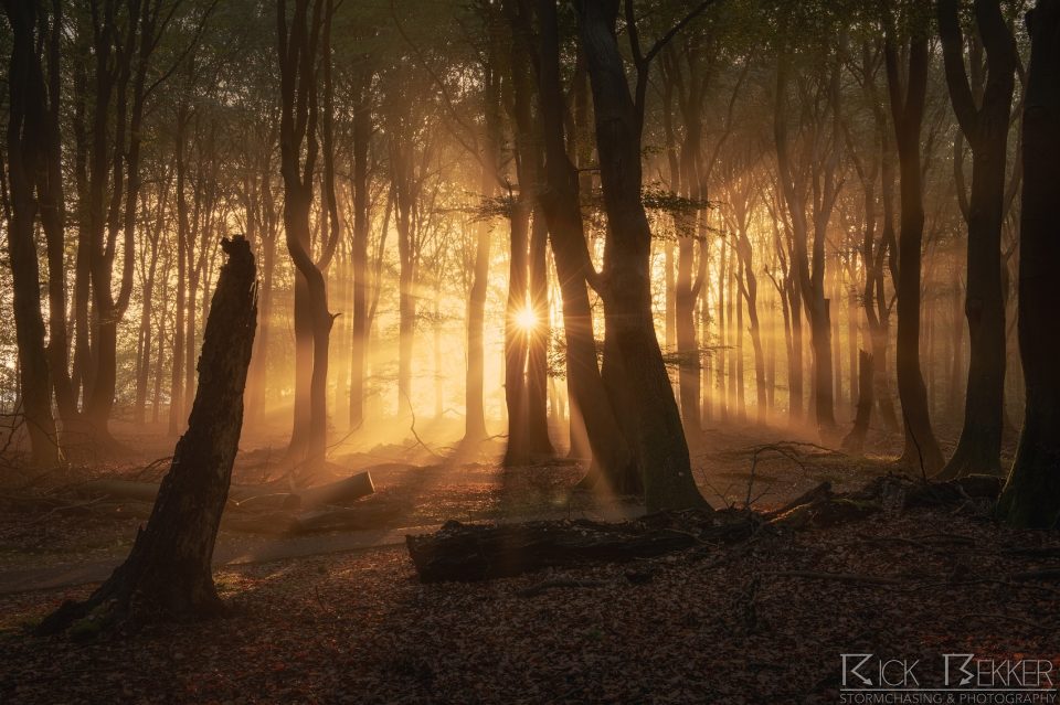 Speulderbos