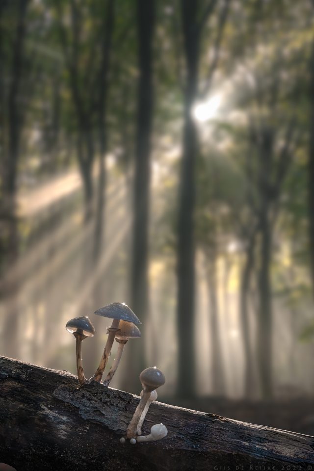 The First Signs Of Autumn