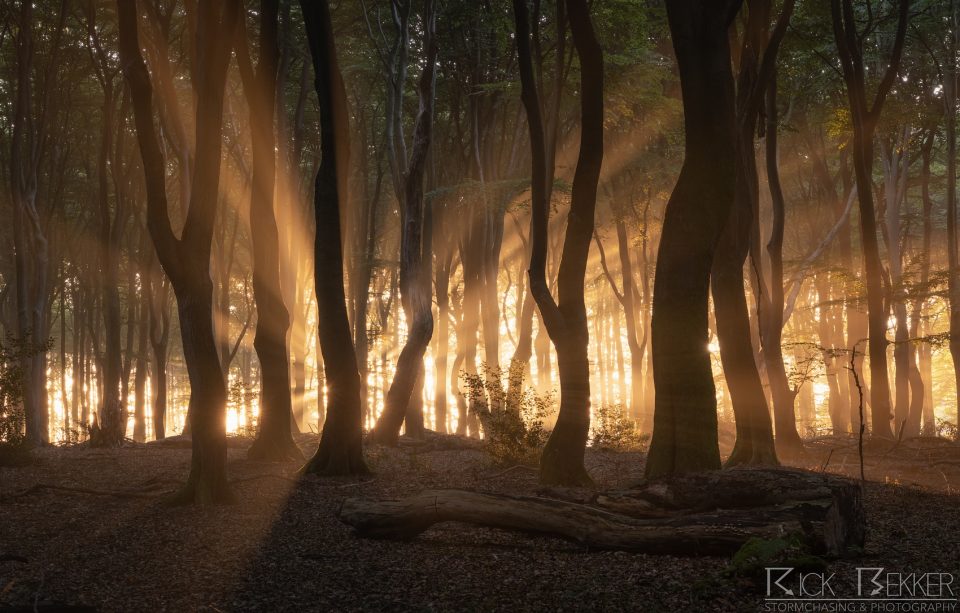 Speulderbos Magic