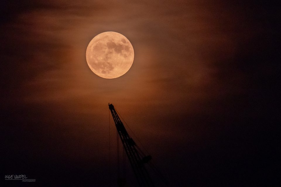Vollmond über dem Hamburger Museumshafen