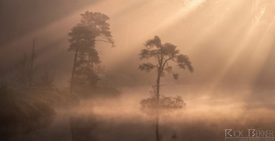Morning magic