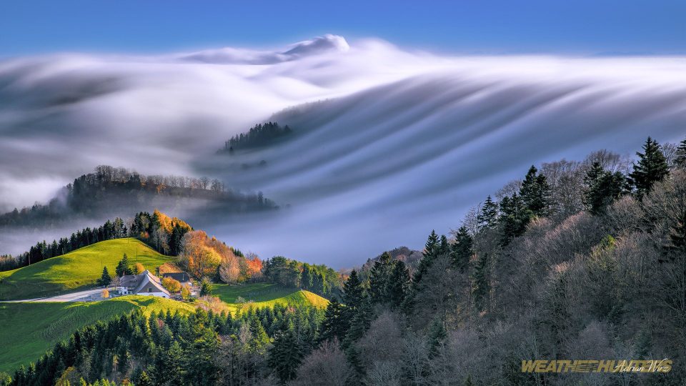 Fogwave