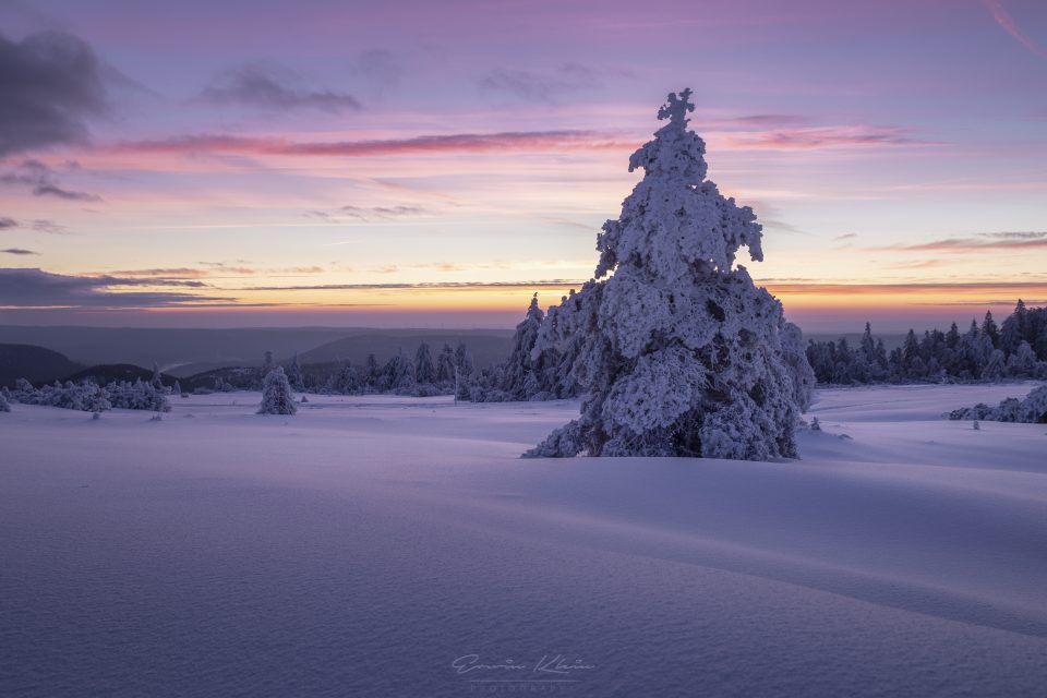 Winter Sunrise