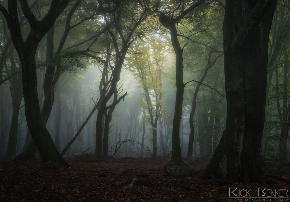 Speulderbos Magic