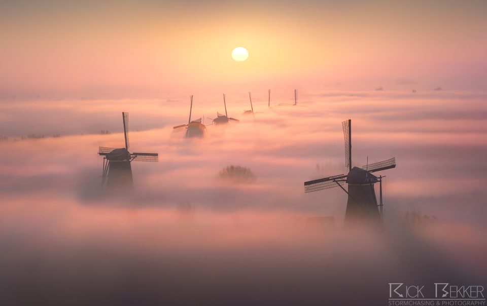 Kinderdijk Fog #3