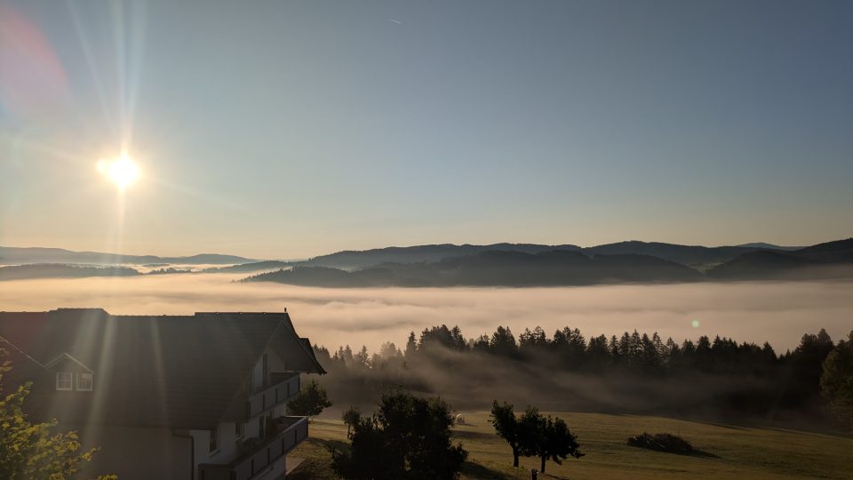 Morgensonne Bayrischer Wald