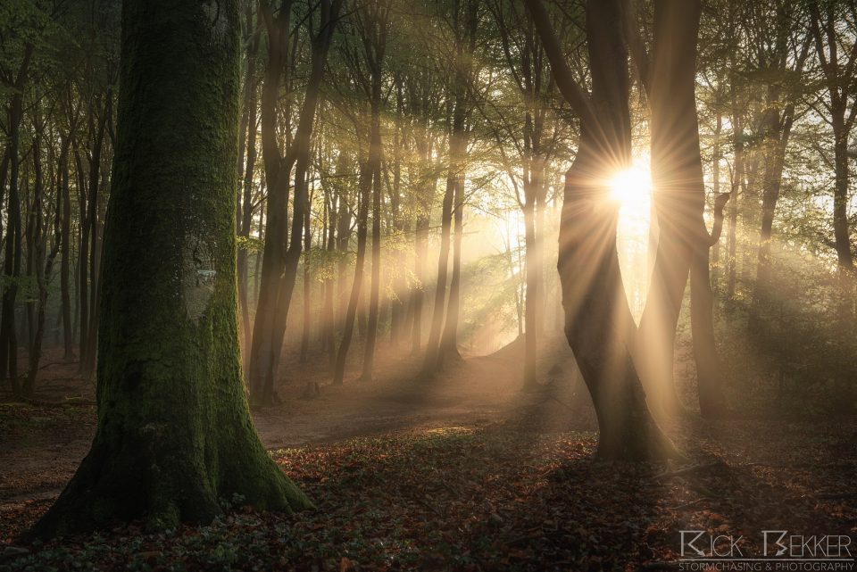 Speulderbos Magic