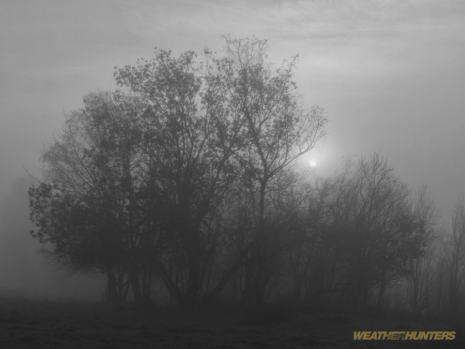 Morgennebel