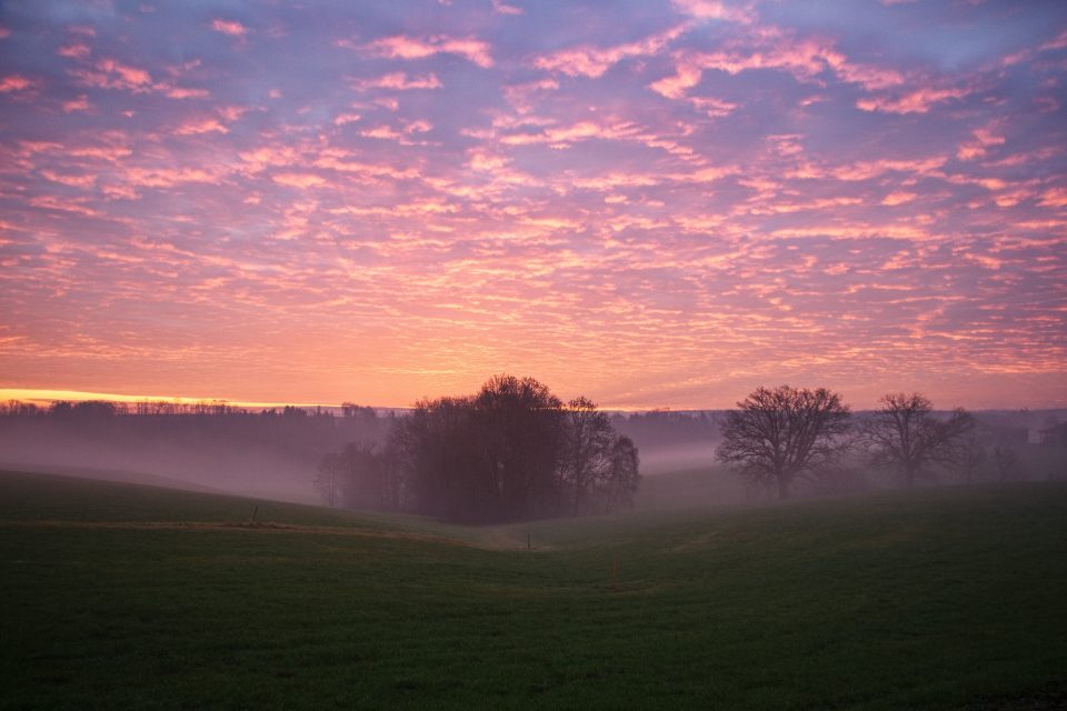 Morgendämmerung