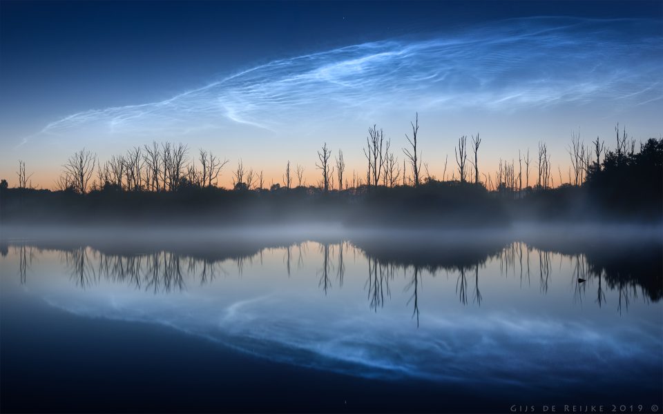 Nocturnal Reflections