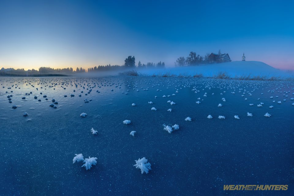 Frostblumen auf dem See