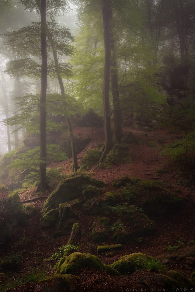 Nebel – Foto von Gijs de Reijke